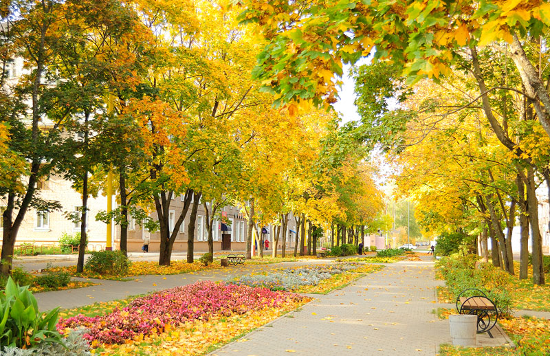 photo "***" tags: landscape, autumn