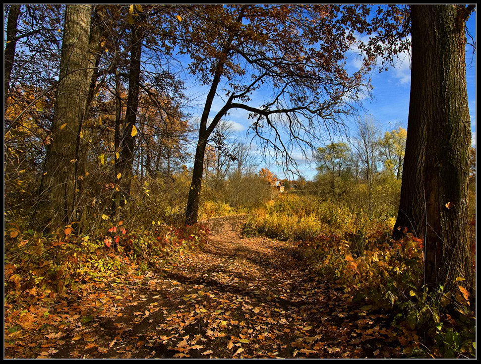 photo "***" tags: landscape, autumn