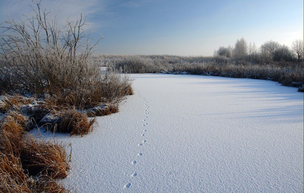 фото "Зимнее озеро." метки: пейзаж, 