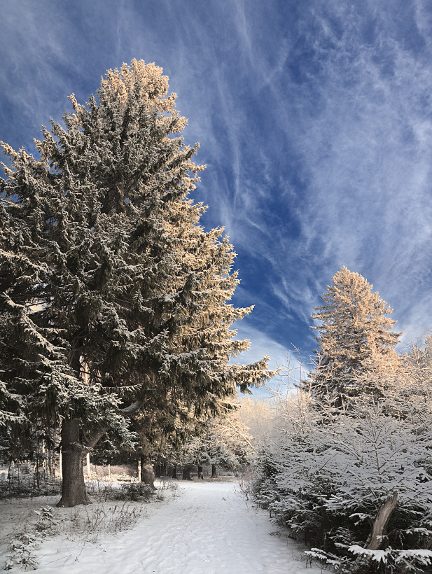 фото "Небесные узоры" метки: пейзаж, зима