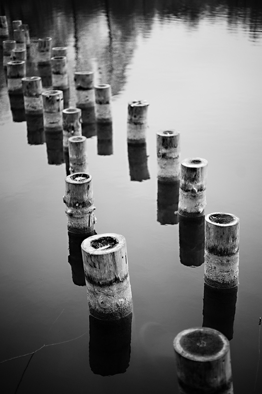 photo "***" tags: black&white, landscape, water