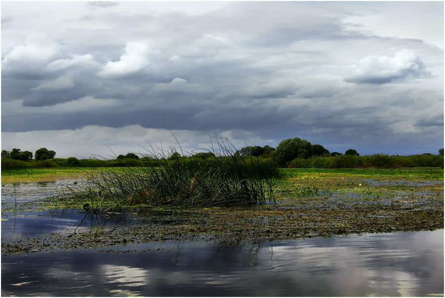 photo "***" tags: landscape, 