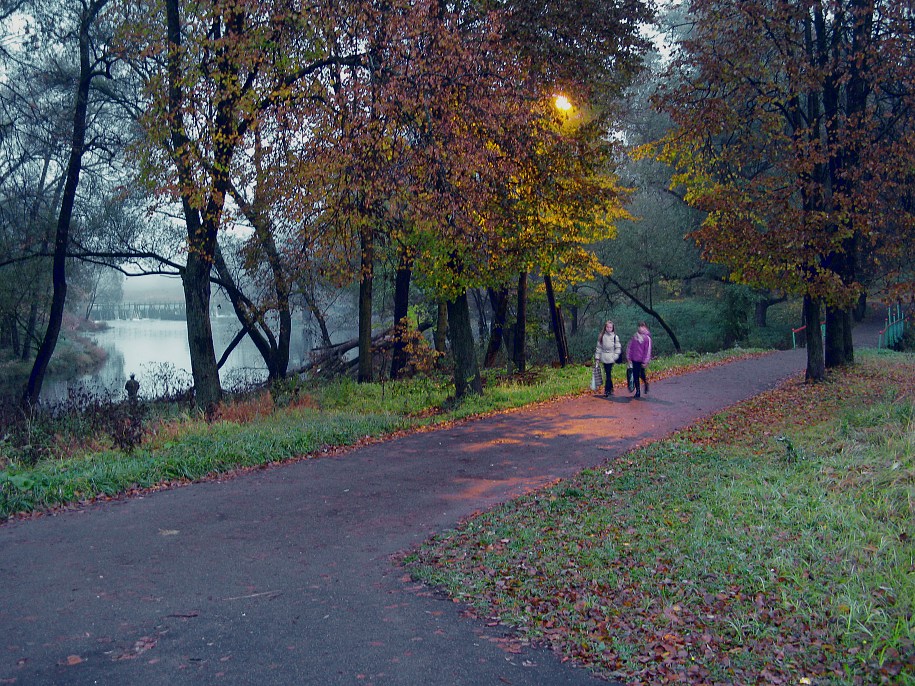 photo "Early morning to school, October" tags: landscape, genre, autumn