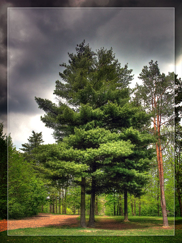 photo "***" tags: landscape, mountains, summer