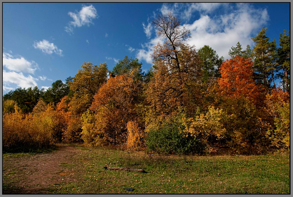 фото "Краски золотой осени..." метки: пейзаж, осень