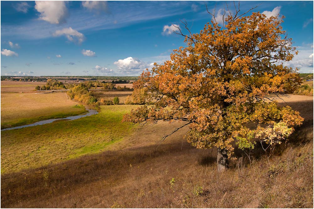 photo "***" tags: landscape, autumn