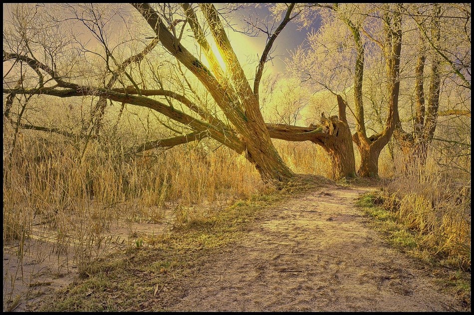 photo "***" tags: landscape, winter