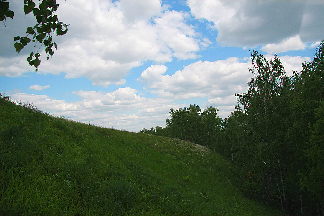 photo "***" tags: landscape, summer