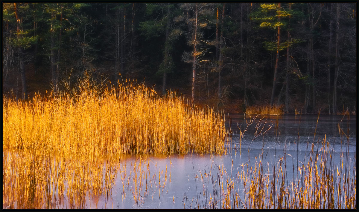 photo "***" tags: misc., landscape, winter