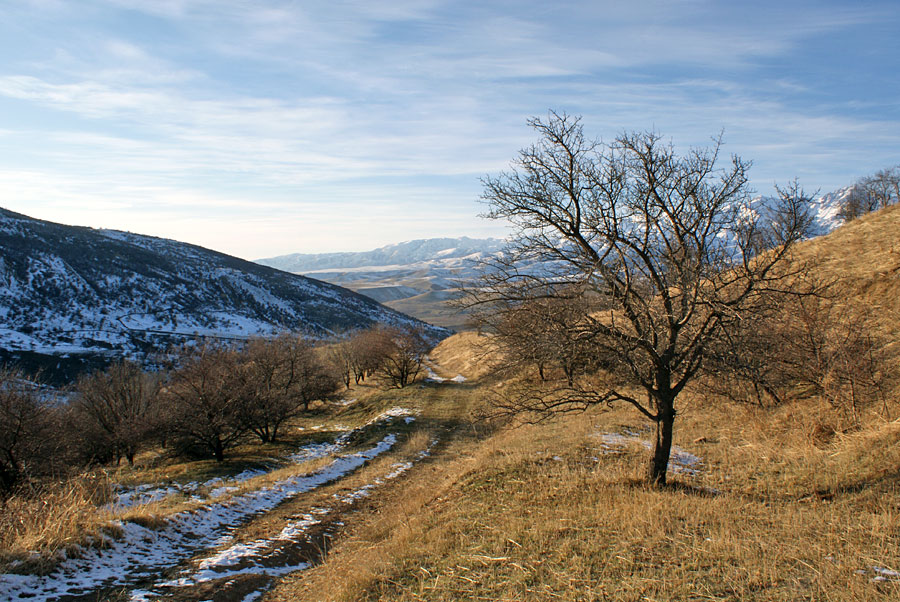 фото "Первый снег" метки: пейзаж, горы, зима