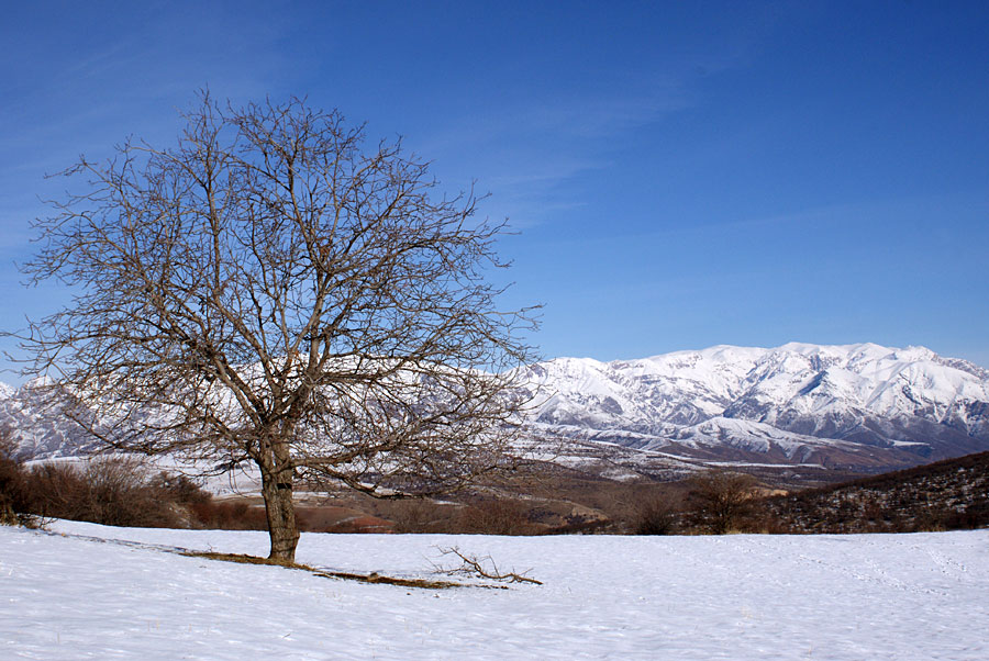 photo "***" tags: landscape, mountains, winter