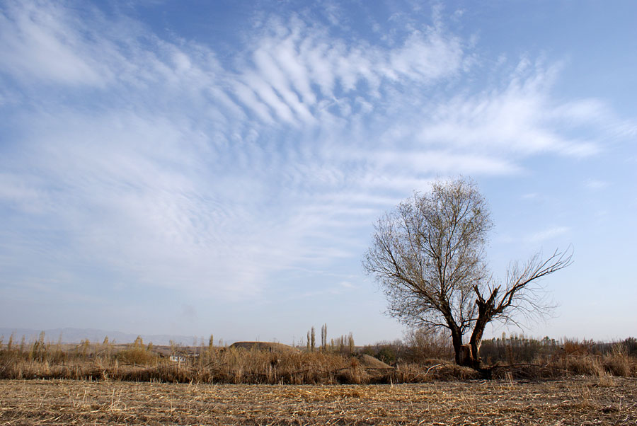 photo "***" tags: landscape, autumn, clouds