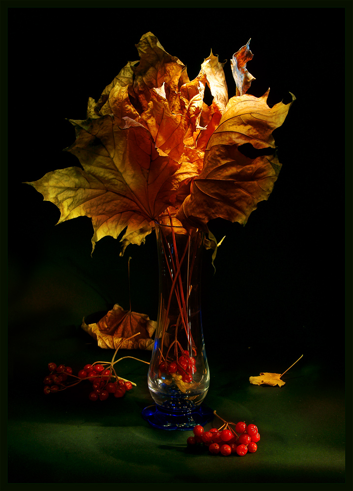 photo "Elegy outgoing autumn" tags: still life, 