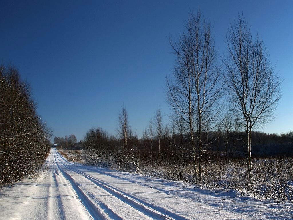 фото "Мороз и Солнце" метки: пейзаж, зима