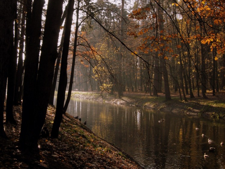 фото "Поздняя осень..." метки: пейзаж, вода, осень