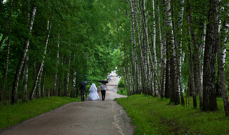 photo "Three in the rain" tags: humor, genre, 