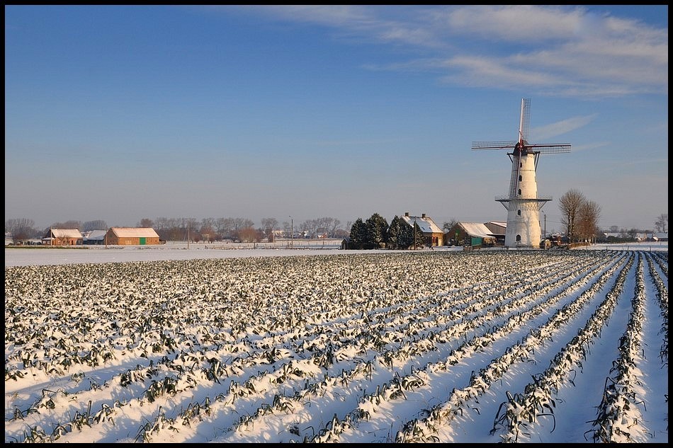 photo "The windmill of Isackers." tags: landscape, winter