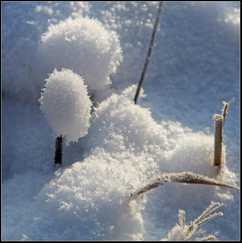 photo "Winter hat" tags: landscape, macro and close-up, winter