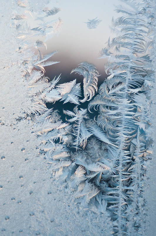 фото "ice rose" метки: макро и крупный план, абстракция, 