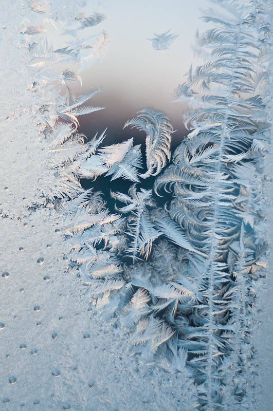 photo "ice rose" tags: macro and close-up, abstract, 