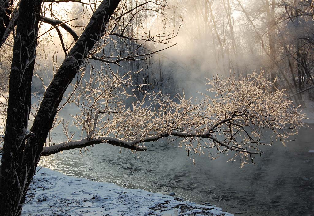 фото "Морозная веточка" метки: пейзаж, зима, лес