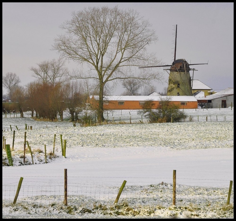 photo "The windmill of Pollinkhove." tags: landscape, winter