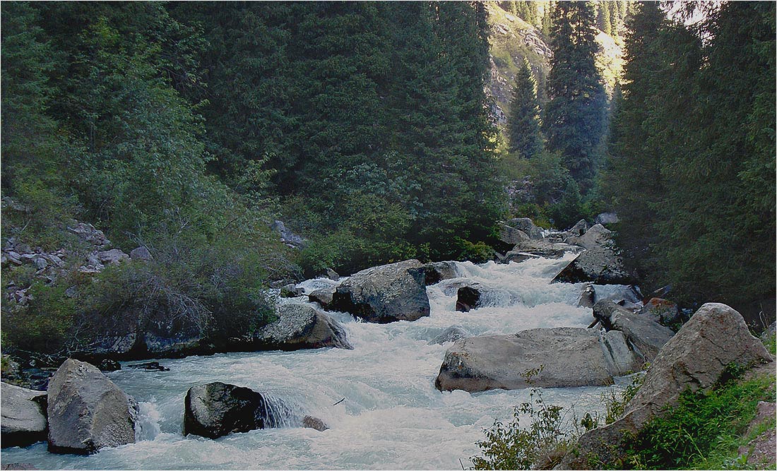 photo "***" tags: landscape, summer