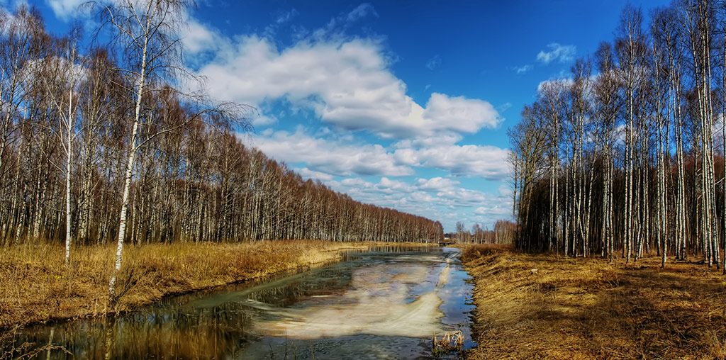 photo "***" tags: landscape, spring