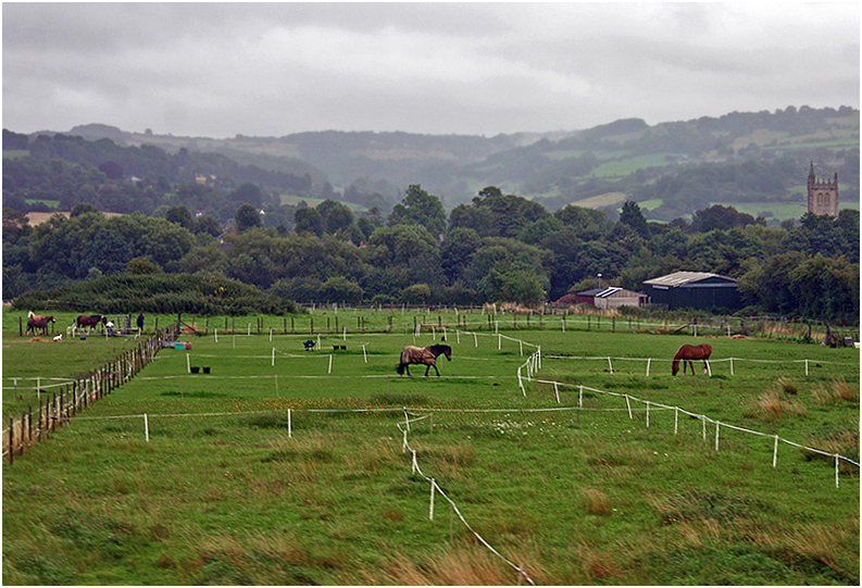 photo "Rural landscape and horses." tags: landscape, travel, summer