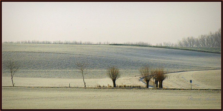 photo "first winterday" tags: landscape, winter