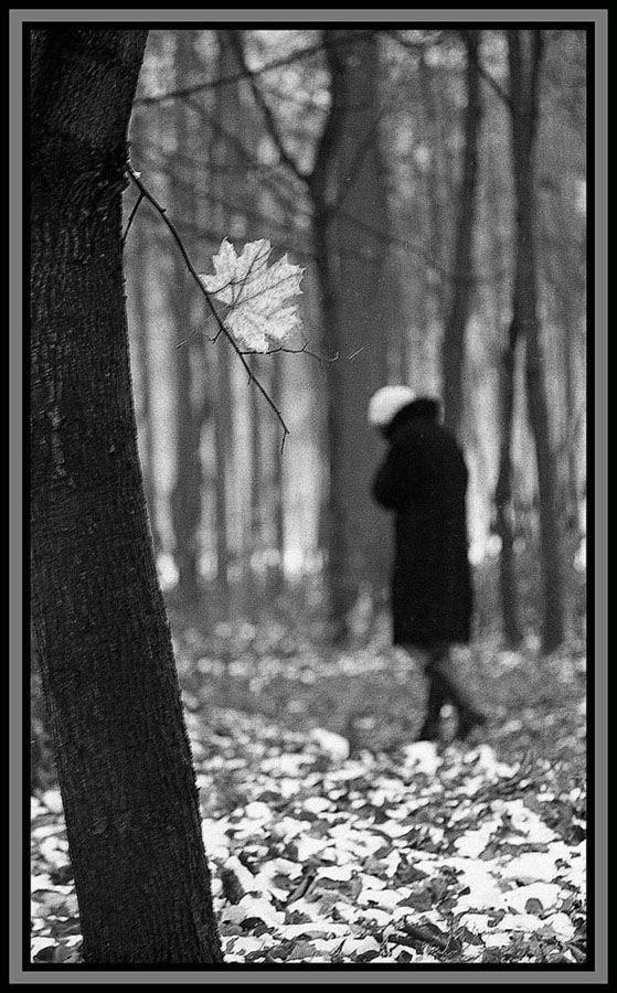 фото "1976 г. Последний лист." метки: жанр, 