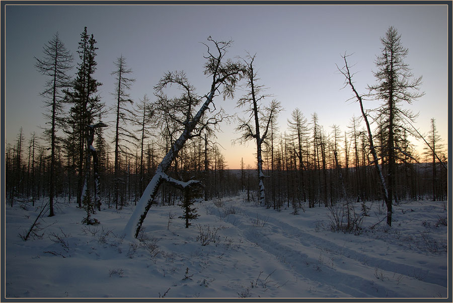 photo "***" tags: landscape, forest, winter