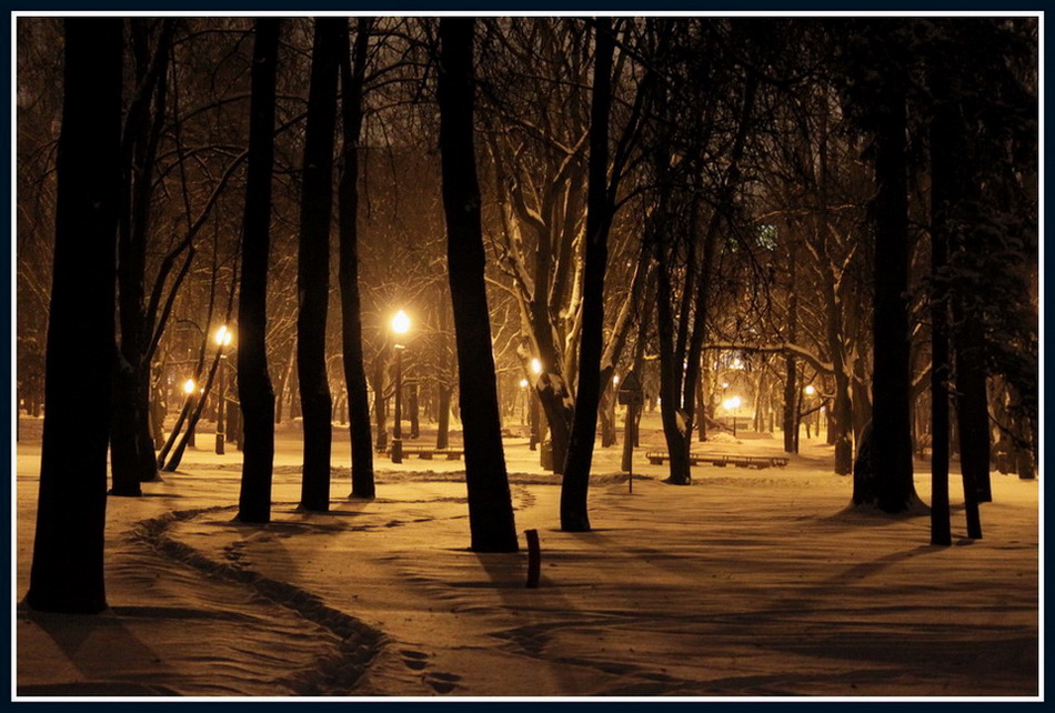 фото "Зимний парк" метки: пейзаж, зима, ночь