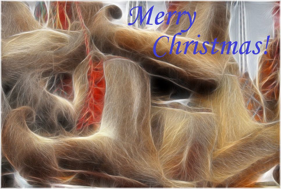 photo "Merry Christmas!" tags: misc., still life, 