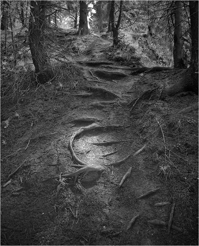 photo "***" tags: landscape, black&white, summer