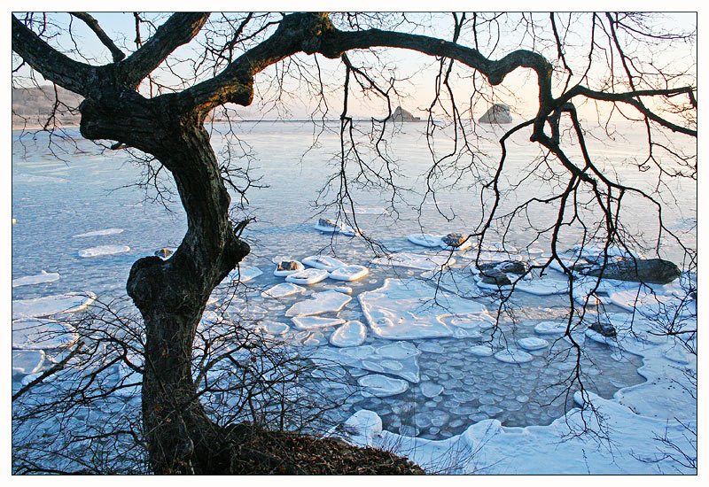 photo "***" tags: landscape, water, winter