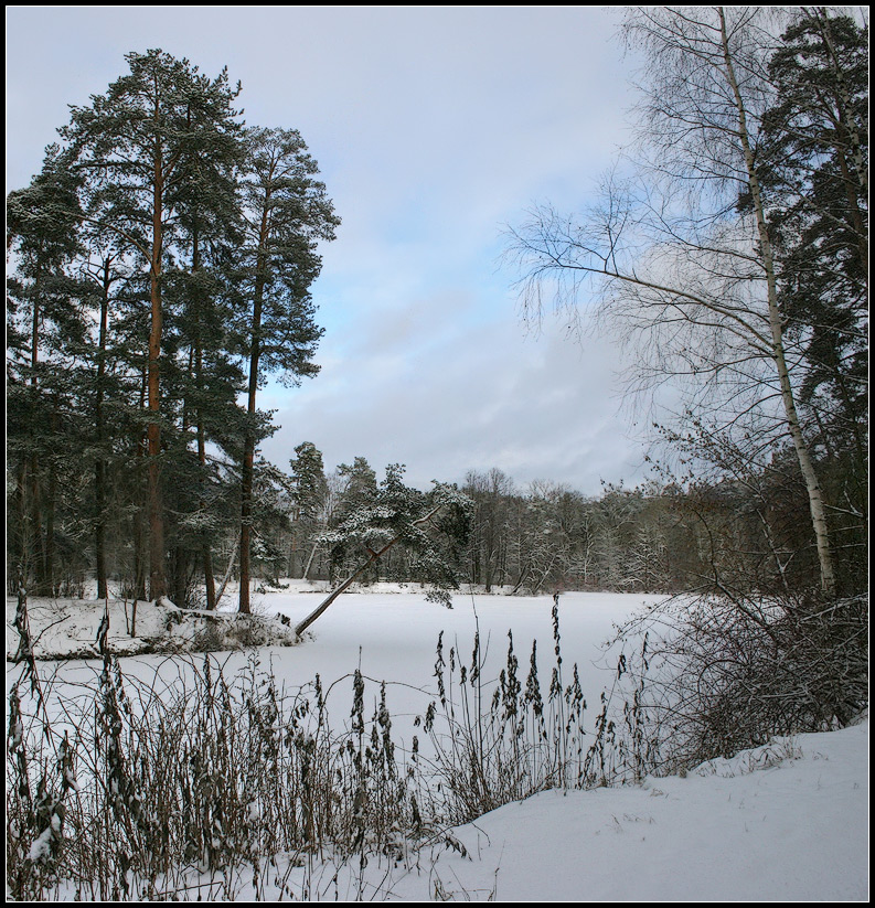 photo "Frosty Day" tags: landscape, forest, winter