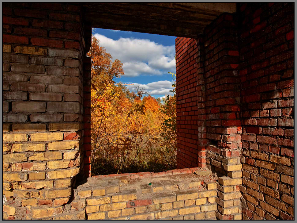 фото "Окно в осень..." метки: пейзаж, осень