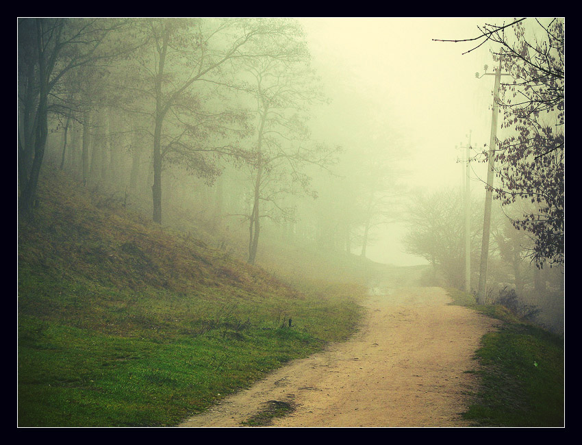 photo "***" tags: landscape, autumn, forest