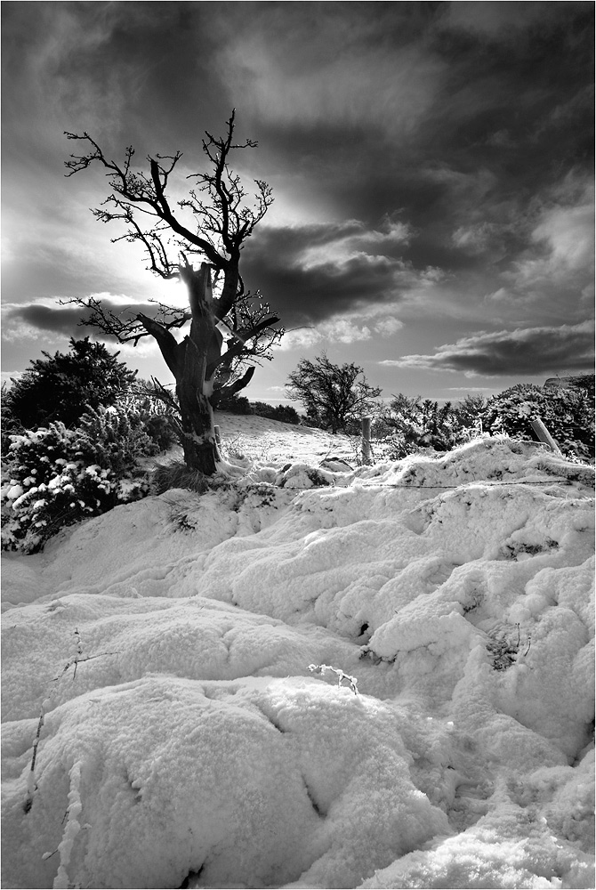 photo "Snowy Irish Hills" tags: landscape, 