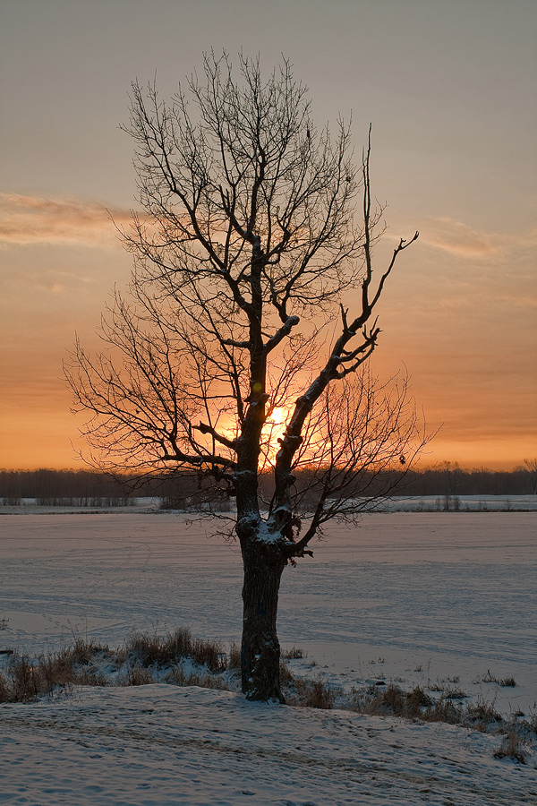 photo "***" tags: landscape, sunset, winter