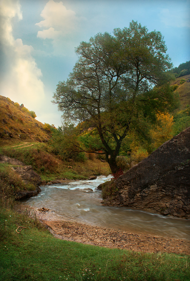 photo "Here trout:)" tags: landscape, autumn