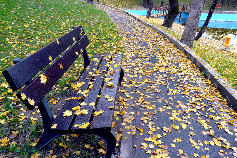 фото "Autumn passed here ..." метки: пейзаж, город, осень
