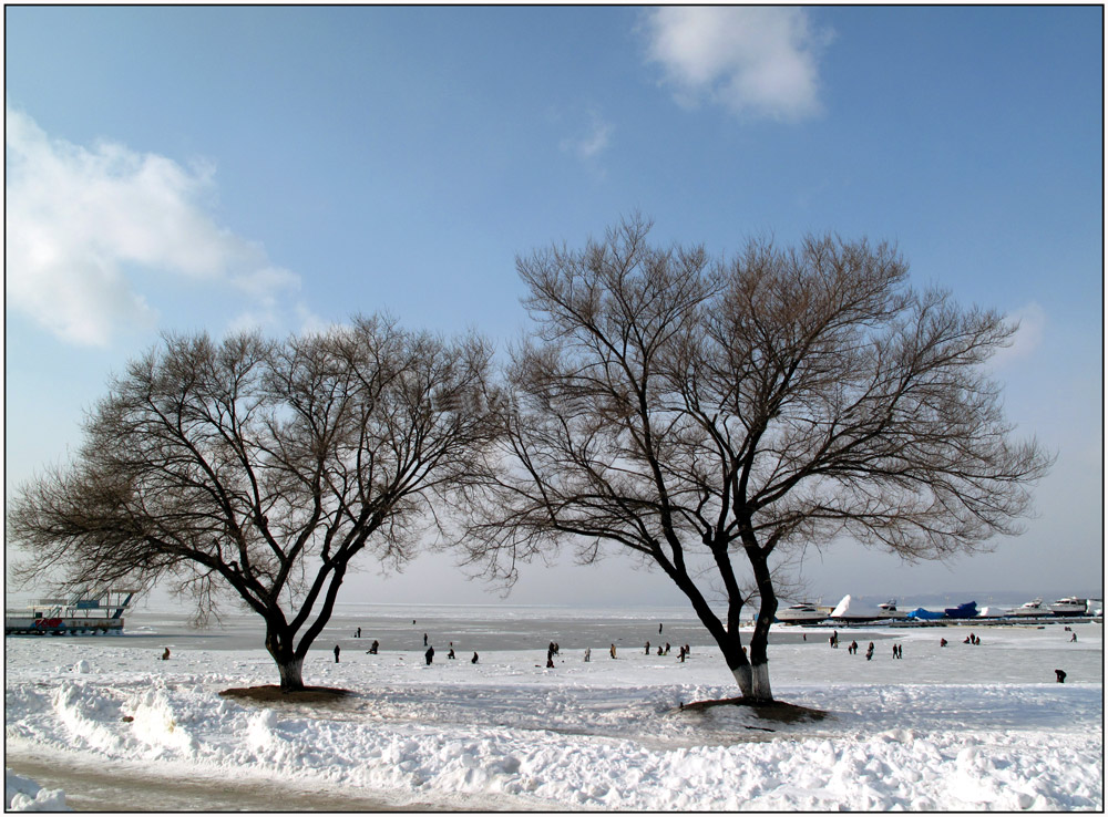 photo "***" tags: reporting, landscape, winter