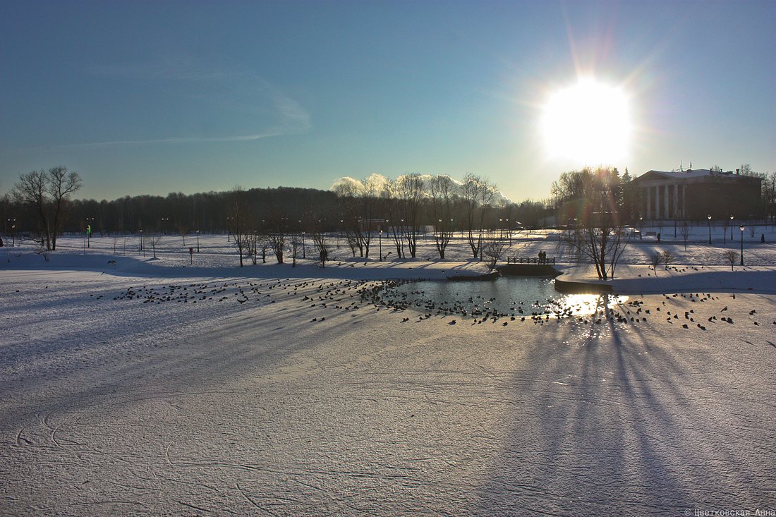 photo "***" tags: landscape, shadow, sun, winter