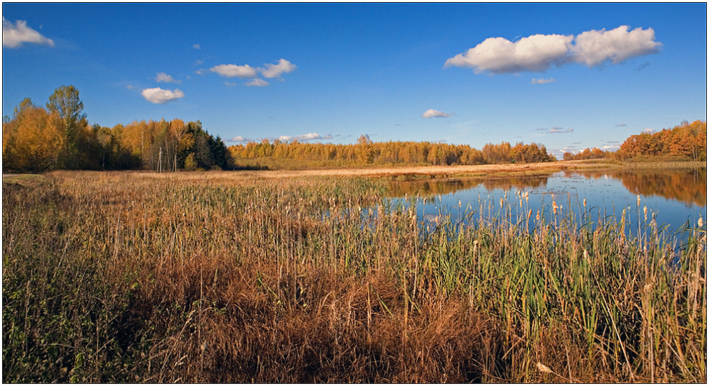 photo "Boggy coast" tags: landscape, autumn, clouds