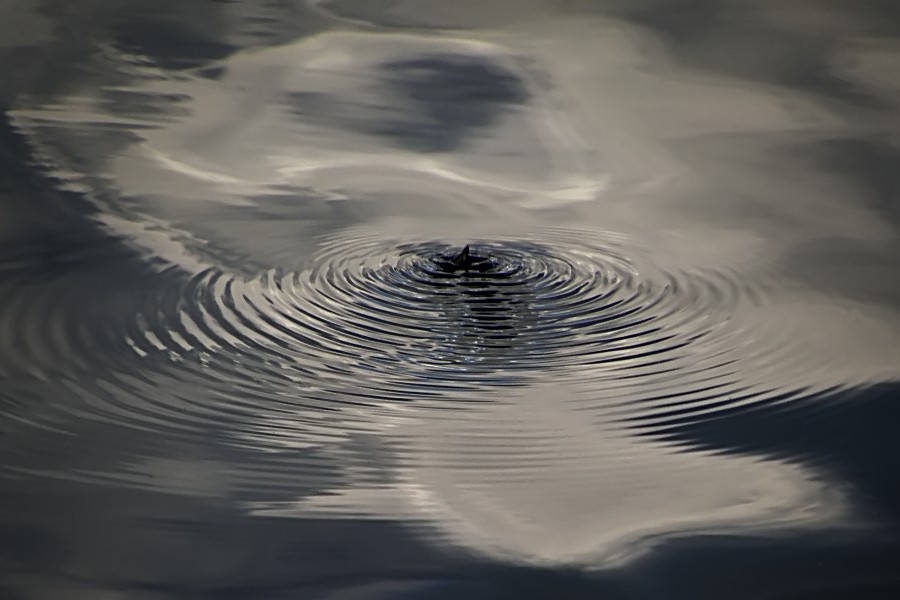 фото "Круги на воде" метки: абстракция, 