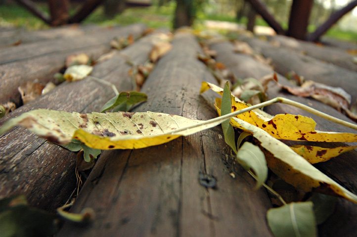 photo "autumn" tags: landscape, autumn