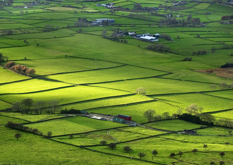 photo "Irish fields" tags: landscape, 