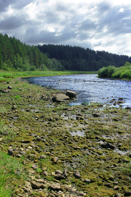 photo "***" tags: landscape, summer, water